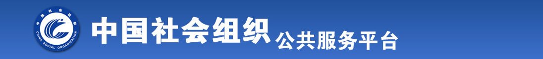 美女没肏视频全国社会组织信息查询